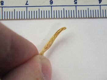 Media type: image;   Herpetology R-6675